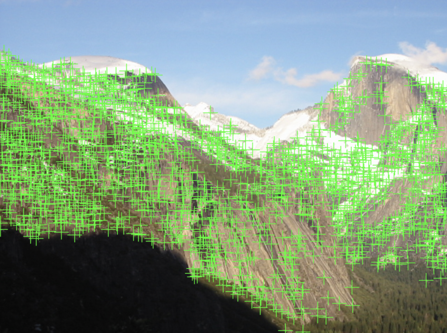Feature Detection Result